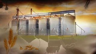 رغيف عيش العرب.. كم تكفي احتياطاتهم من القمح