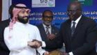 500 بئر جوفية من السعودية لمكافحة العطش بالسودان
