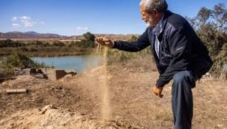 فلاح مغربي - أرشيفية