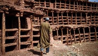 أقدم مزرعة لتربية النحل في العالم