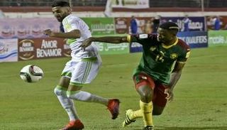 الجزائر والكاميرون 