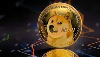ارتفاع سعر عملة دوجكوين
