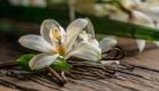 الرائحة الأفضل في العالم.. دراسة تكشف السر