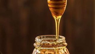 العسل يتحول إلى رقائق كمبيوتر 