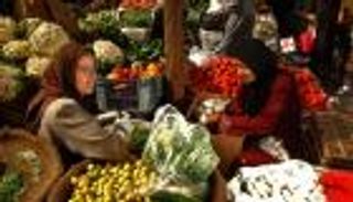 جنون أسعار الطماطم في مصر.. أغلى من الدولار