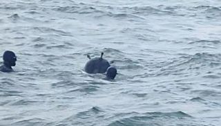 عنصران من قوات الدفاع يحاوطان اللغم