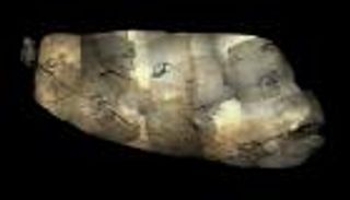 آثار أقدام ديناصور تكشف سرا عمره 129 مليون سنة 