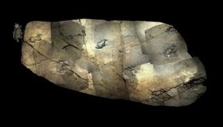 آثار أقدام الديناصورات التي فحصتها الدراسة 