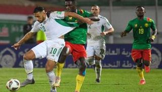 الجزائر والكاميرون