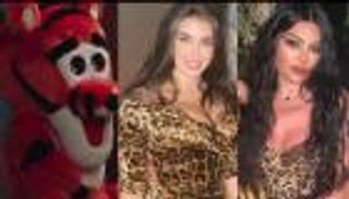 "تايجر المزاريطة" يعيد هيفاء وهبي للساحة: "مربوحة تكسب"