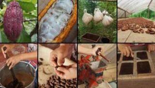 خطوات صناعة الشوكولاته لم تتغير منذ زمن بعيد 