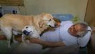 توفيق عبد الحميد مع كلبين في غرفة متواضعة.. صورة هزت عرش الفن في مصر