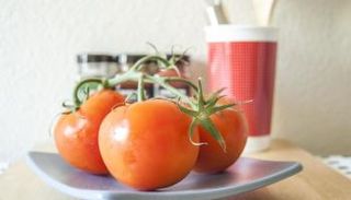 ما هو دليلك لحفظ أفضل للطماطم