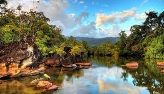 جمال الطبيعة في مدغشقر