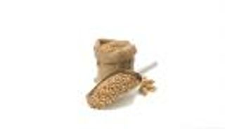 مصر تفاجئ الأسواق بصفقات قمح ضخمة.. والتجار يسارعون لرفع الأسعار