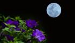 سر تسمية بدر رمضان الأبيض بـ"القمر الوردي"