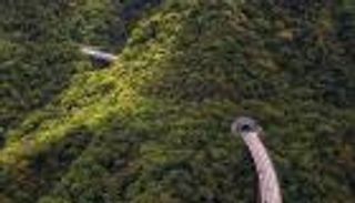 طريق ضخم يشق غابات الجزائر يبهر السوشيال ميديا.. فما حقيقته؟