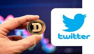 شعار تطبيق تويتر وعملة