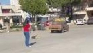 مقتل كلب "بدم بارد" يشعل مواقع التواصل الاجتماعي في لبنان