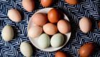 ماذا يحدث لجسمك عند تناول البيض يوميا؟ 5 فوائد