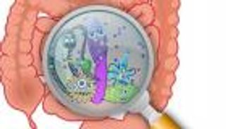 لست صاحب القرار الوحيد.. ميكروبات الأمعاء تتحكم في اختيار الغذاء