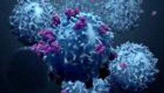 الخلايا التائية الفطرية.. جندي جديد ينضم لسلاح العلاج المناعي للسرطان