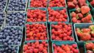 4 فوائد مذهلة للتوت.. كنز صحي