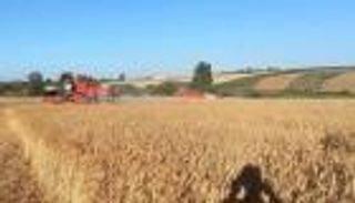 بعد أزمة القمح.. تونس تبحث عن أمنها الغذائي بهذه الطريقة