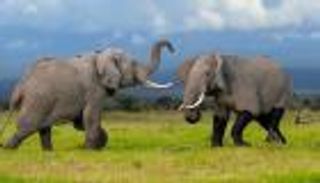 أضخم 10 حدائق وطنية في أفريقيا.. سياحة مختلفة (صور)