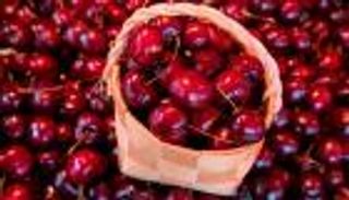 5 أطعمة تحرق دهون المعدة العنيدة