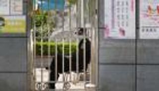 كورونا يخنق الصين.. إغلاقات جديدة وغضب متصاعد