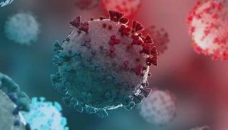 فيروس كورونا