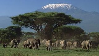 حديقة الجبل الوطنية