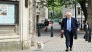 بالصور.. كلب جونسون "المدلل" يشارك في الانتخابات