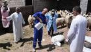 8 وفيات و40 إصابة بمرض الحمى النزفية في العراق