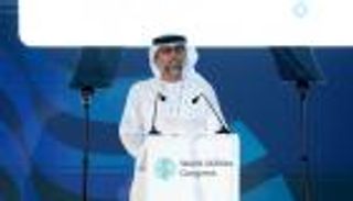 مشاريع إماراتية كبرى في الطاقة والمياه لتعزيز التنمية المستدامة
