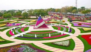 أماكن الجذب السياحي في العين الإمارات