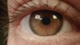 "لغة العيون".. هل تبوح أدمغة القرود بالسر الدفين؟