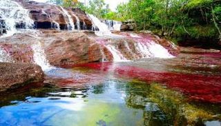 السياحة في كولومبيا.. أبرز 5 أماكن سياحية "ساحرة" للزوار