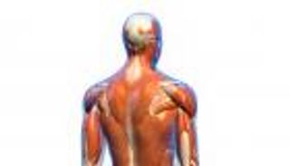 إنفوجراف.. 10 أعراض لمرض التصلب المتعدد