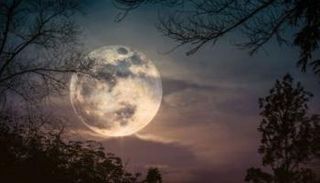 البدر العملاق