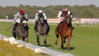 كأس رئيس دولة الإمارات للخيول العربية