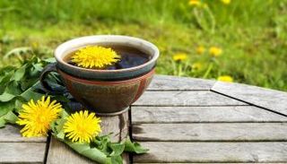 فنجان من قهوة الهندباء