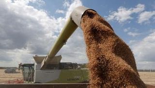 تعرّف على وزن الهند في سوق القمح العالمي