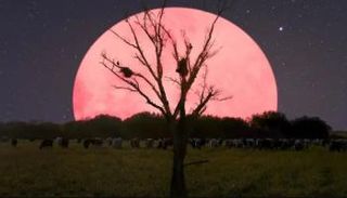 البدر العملاق كما ظهر في الهند