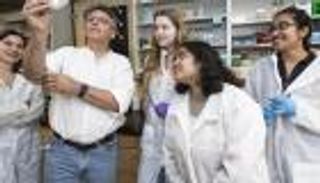 باستخدام الفيروسات.. أول علاج لعدوى الرئة الفطرية 