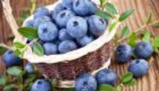 التوت الأزرق يقلل الإصابة بخرف الشيخوخة