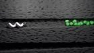 أماكن يصعب الوصول لها.. روبوتات صغيرة لتنظيف الأسنان 