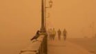 العودة قريبا.. "الزائر الأصفر" يستعد لمغادرة العراق (صور)