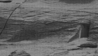 الصورة المثيرة للجدل